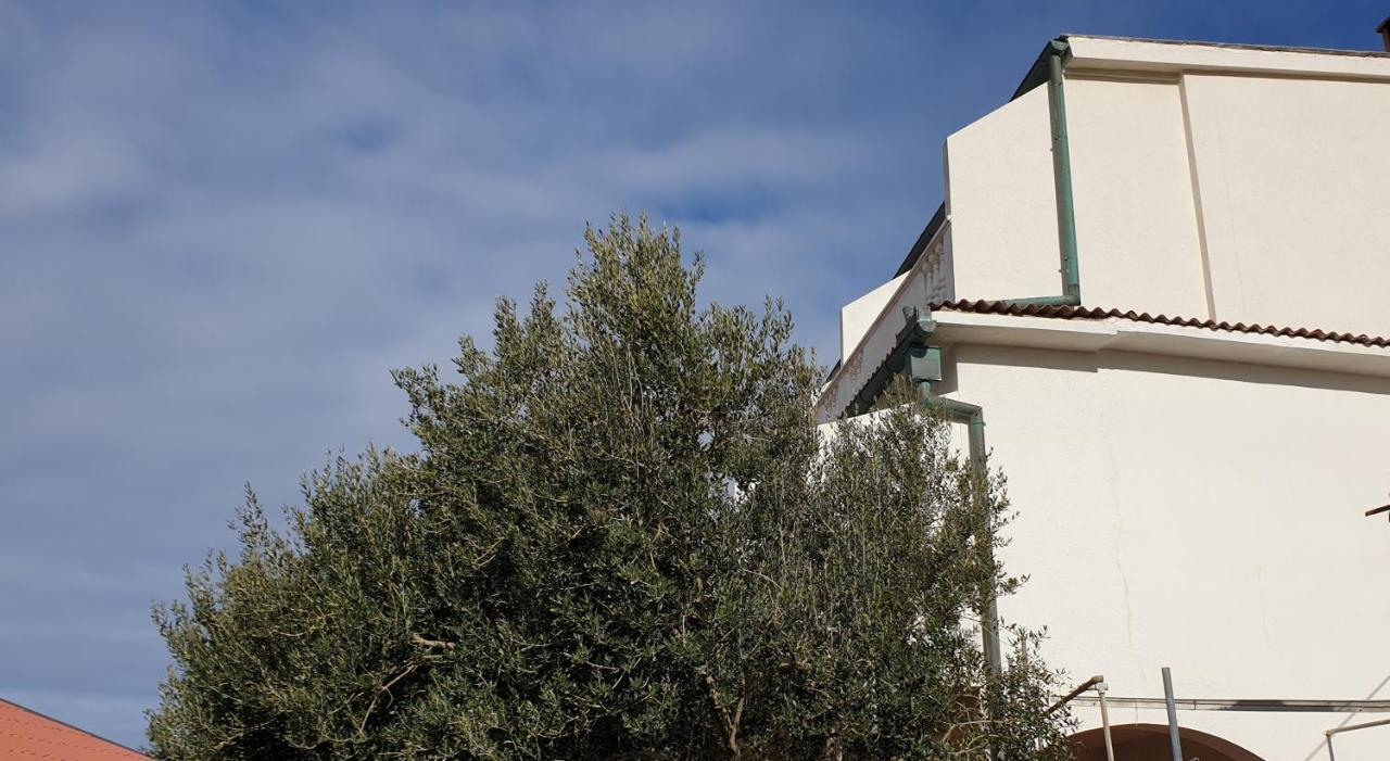 Bellavista Bed And Breakfast Pag Town Exterior foto